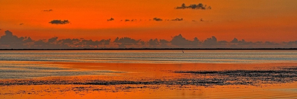 So far the couple has visited 3 national parks. Lilly's favorite part of camping at the Everglades was the spectacular sunsets